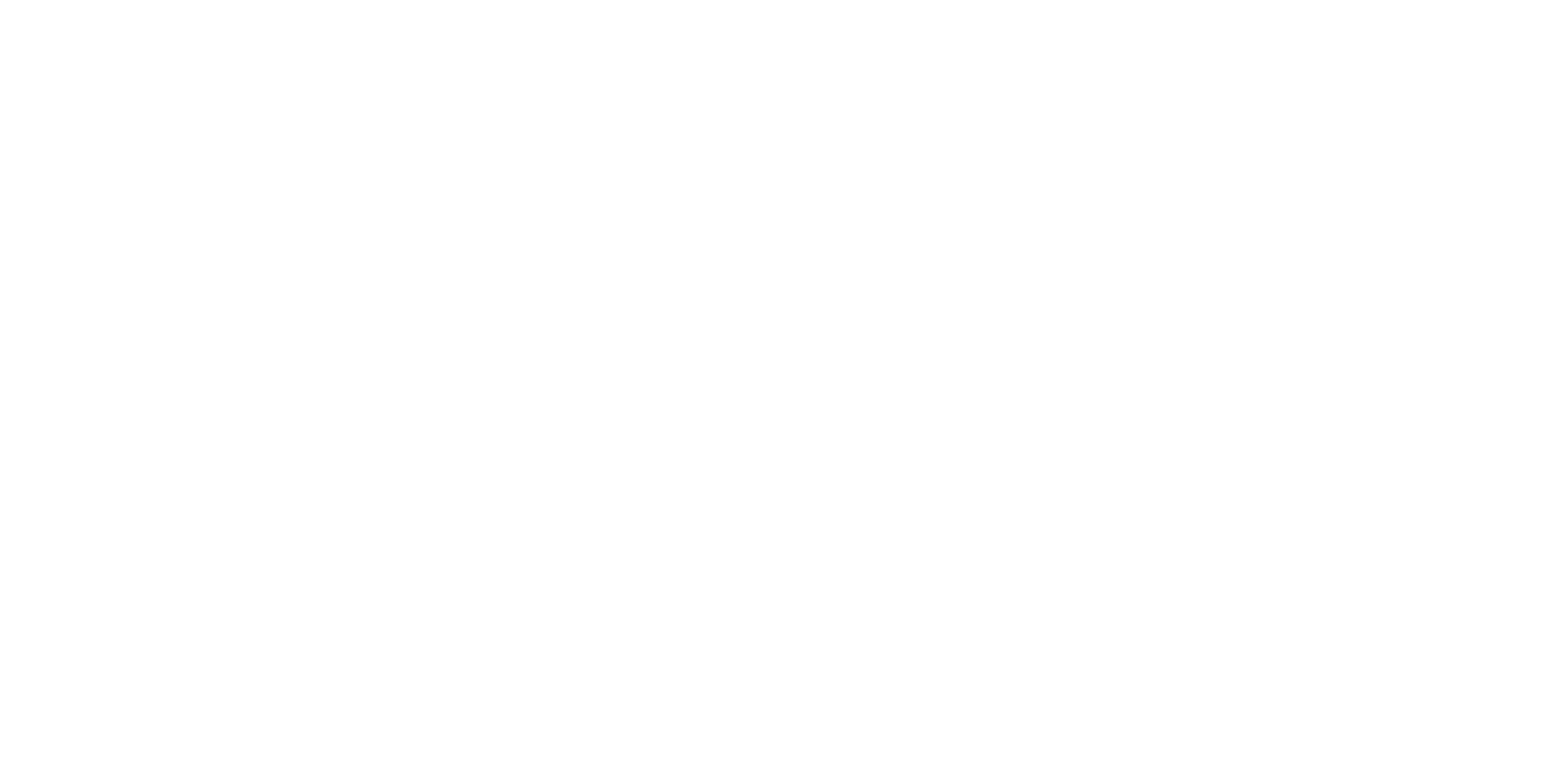 Passport Logo knockout