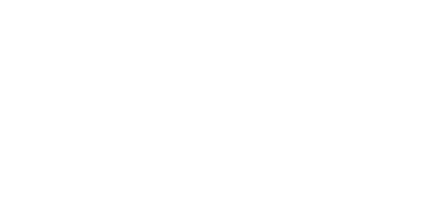 Siriusware logo knockout