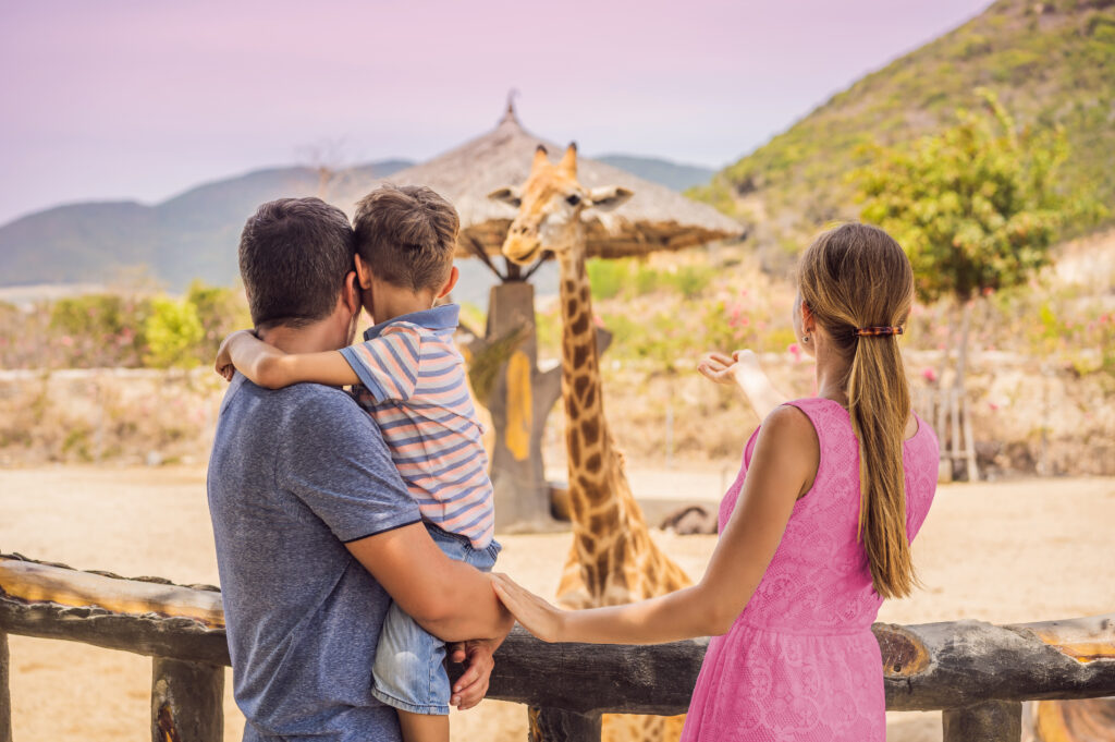 Happy Mother, Father And Son Watching And Feeding Giraffe In Zoo
