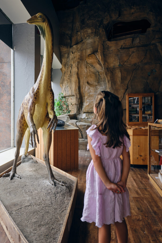 Children Looking at a Dinosaur Exhibit in a History Museum
