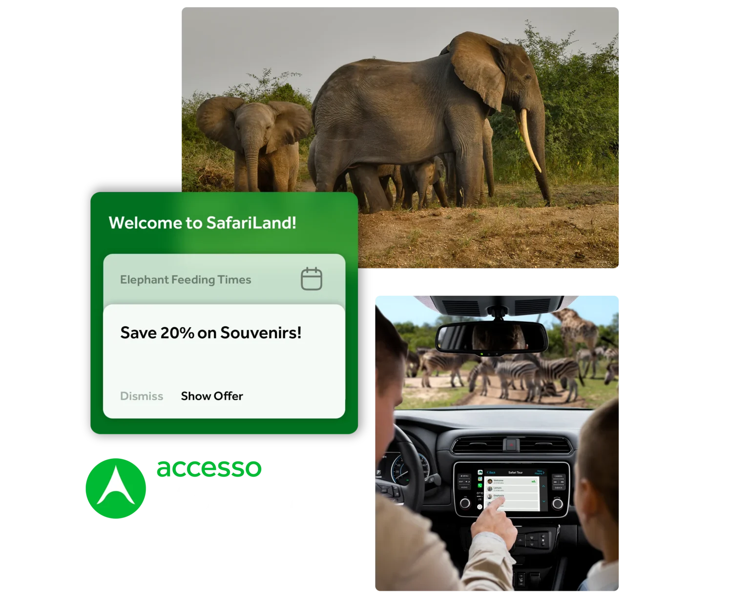 mobile app Content and safari in the background