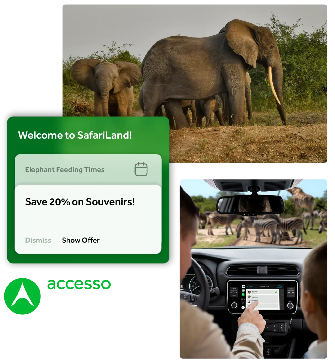 mobile app Content and safari in the background