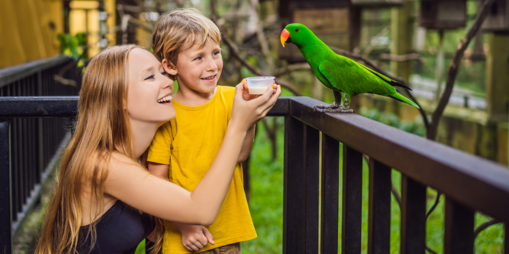 A mother and son feed a parrot at a zoo. Image featured as part of an accesso blog about connected ticketing, retail and visitor experience apps for zoos and aquariums.
