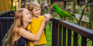 Why the Future of Zoos and Aquariums is a Seamless End-to-End Visitor Journey