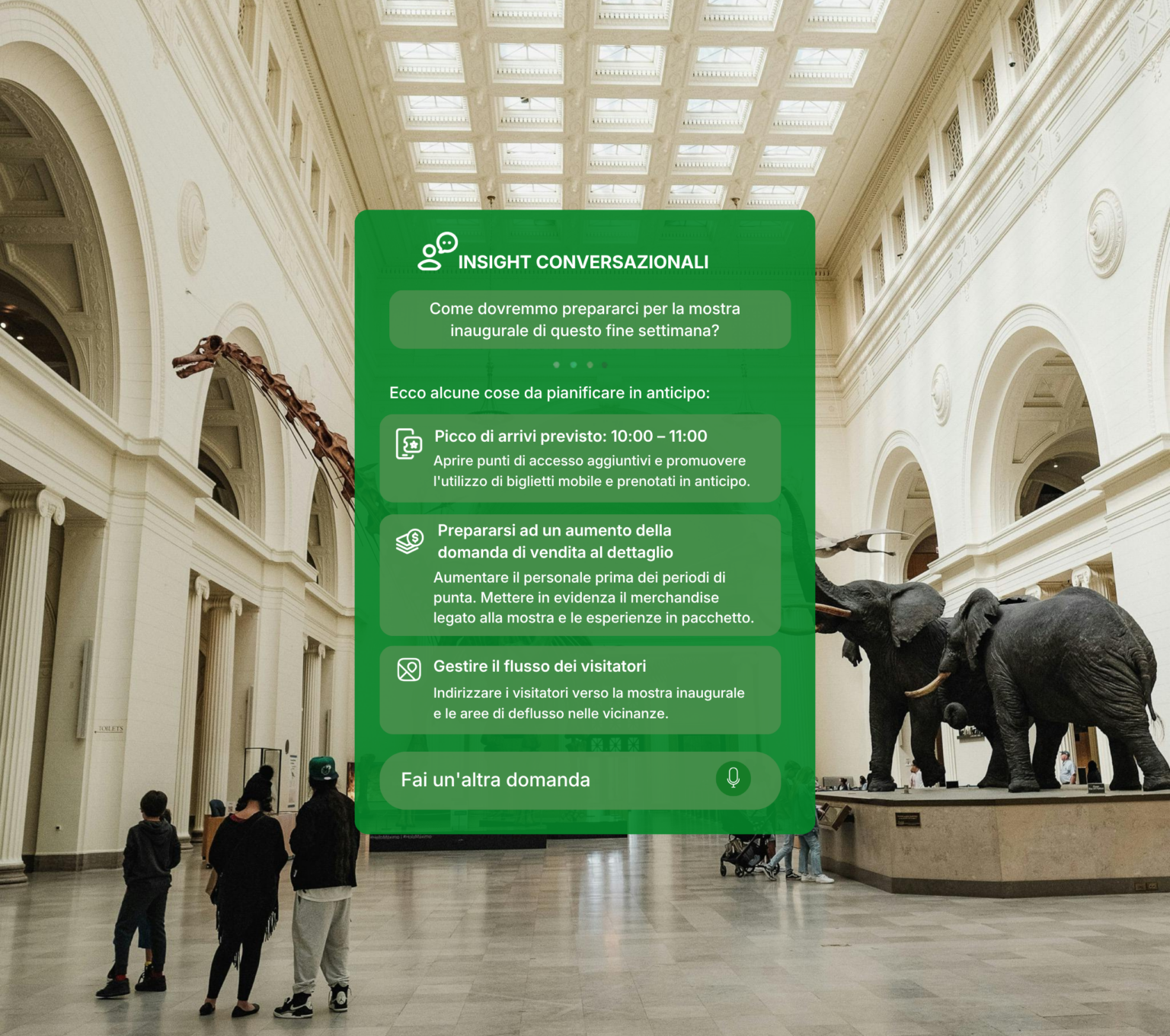 Insight conversazionali