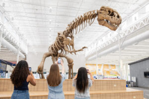 What Visitors Really Think About Museums and What the Data Says to Do Next